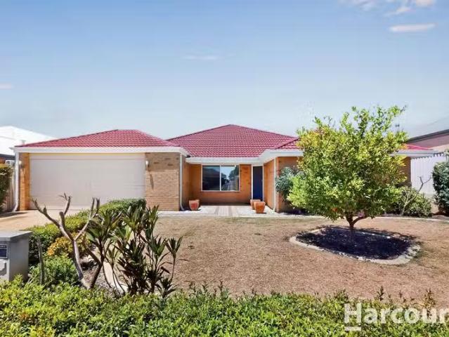 Rental! 4 BR 8 Dianella Link, SINAGRA, WA 6065 House for Rent