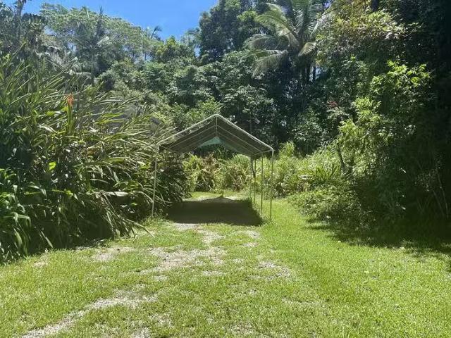 Just in! 514 Bingil Bay Road, Midgeree Bar, QLD 4852