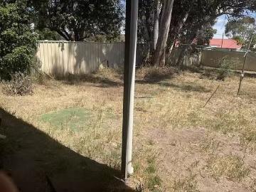 Charming 6 Holly Street, Katanning, WA 6317
