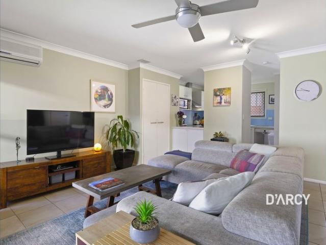 Decked Out Delight with Exquisite Peace and Tranquility