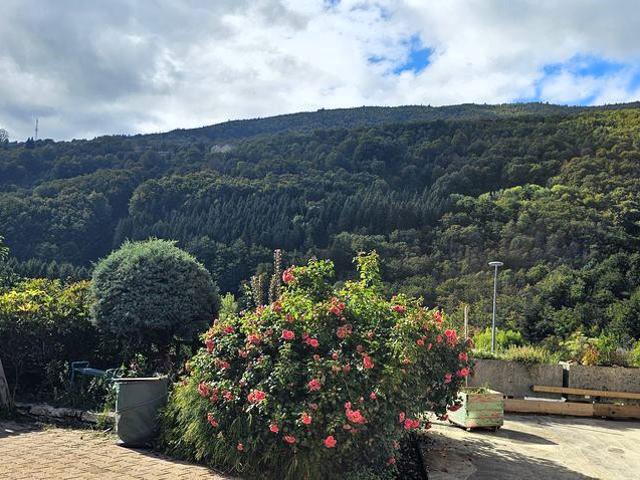 Découvrez cette maison à vendre dans le Vercors, au cœur de la commune de Rencurel
