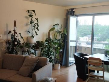 Deels gemeubeld appartement met garagebox en kelder
