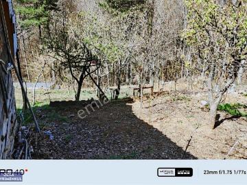 Osmangazi M , Keçiören, Ankara ili, İç Anadolu Bölgesi