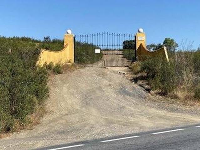 Dehesa Tamujoso | 650 ha de dehesa productiva con explotación ganadera y cinegética en Huelva