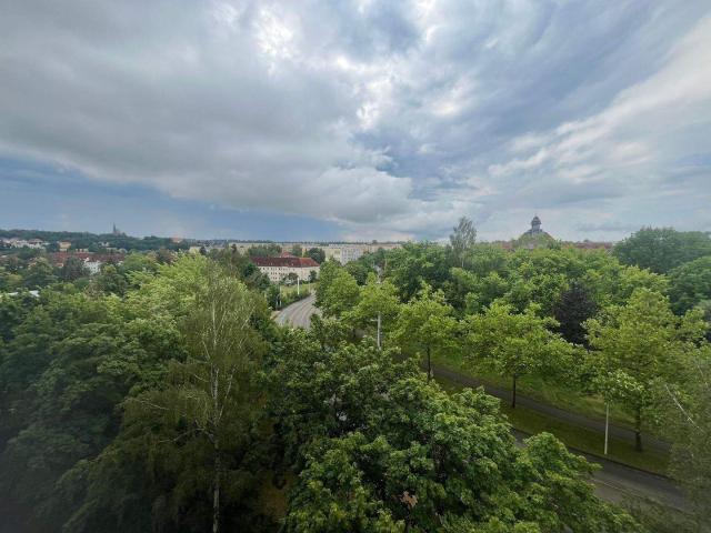Dein neu modernisiertes Single Apartment + EBK auf wunsch