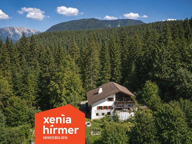 Dein neues Zuhause Hoch droben im Walde