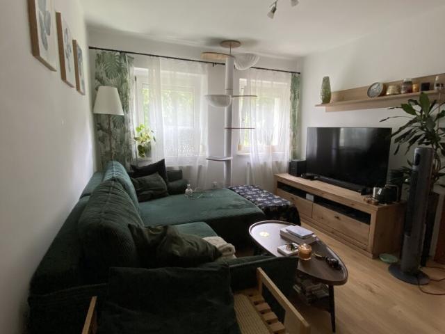 dein platz zwischen stadt & natur – helle 3 zimmer wohnung in steyr münichholz mit durchdachtem grundriss, gemütlicher wohnatmosphäre und perfekter anbindung für entspanntes wohnen!