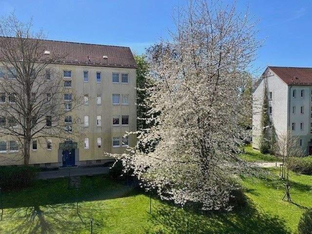 Deine Wohnung zum Studium | 1 Raum mit KÃ¼che nach eigener Vorstellung