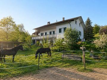 Deine Pferde und Du im Vulkanland Steiermark bei Feldbach