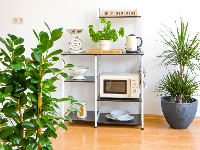 DELUX 2 room apt. TOP LOCATION easy CheckIn+Netflix, Dresden Amsterdam Apartments for Rent