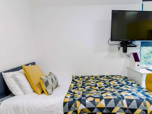 Deluxe Accessible Studio