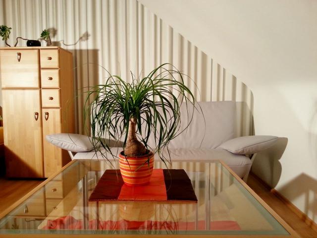Deluxe apartment in Nürnberg West City Living Apartment, Nurnberg Amsterdam Apartments for Rent