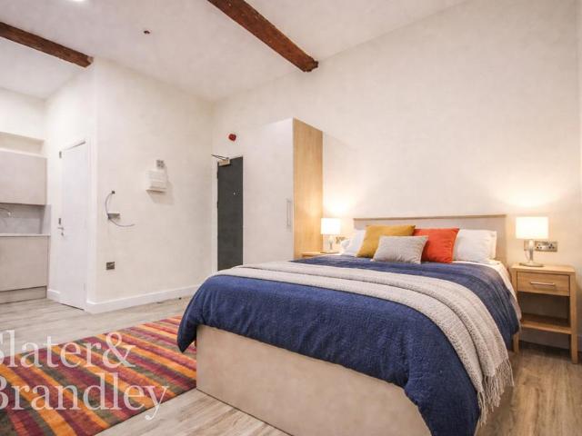 Deluxe Studio, Roden Street. Studio to rent £910 pcm £210 pw