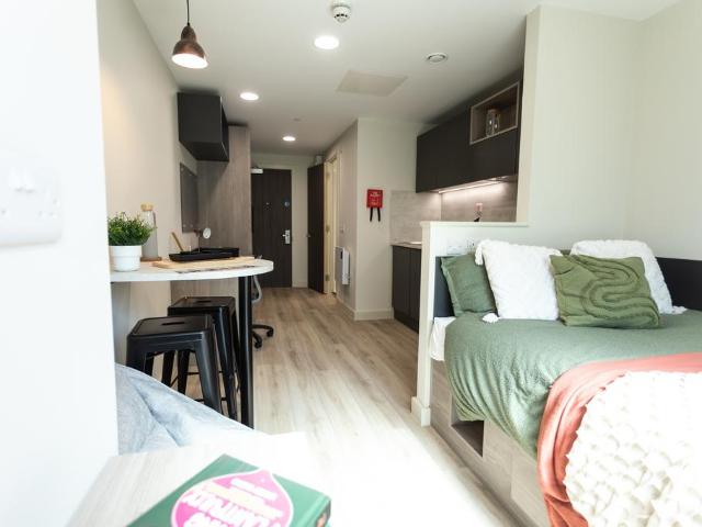 Deluxe Plus Studio at Stanley Studios. Studio to rent £1,062 pcm £245 pw