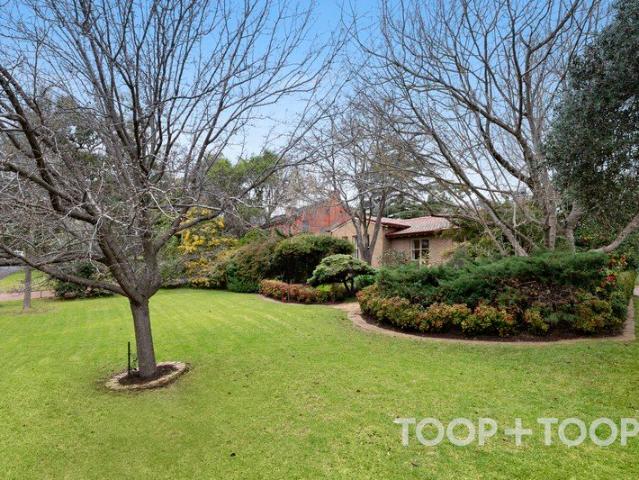 Delightful Family Home on Beaumont Common!