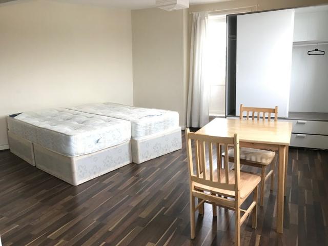 Delightful Studio Flat With Roof Terrace