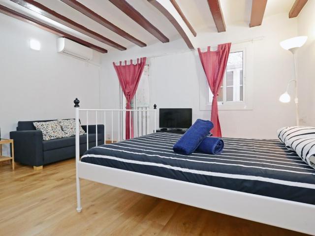 Delightful studio in El Raval