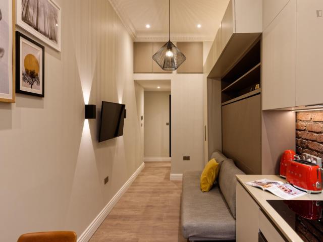 Delightful studio in Marylebone Has an Apartment