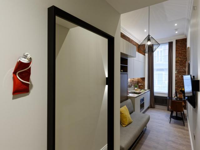 Delightful studio in Marylebone Has an Apartment