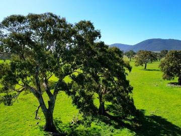 DELIGHTFUL WESTERN VICTORIA COUNTRY