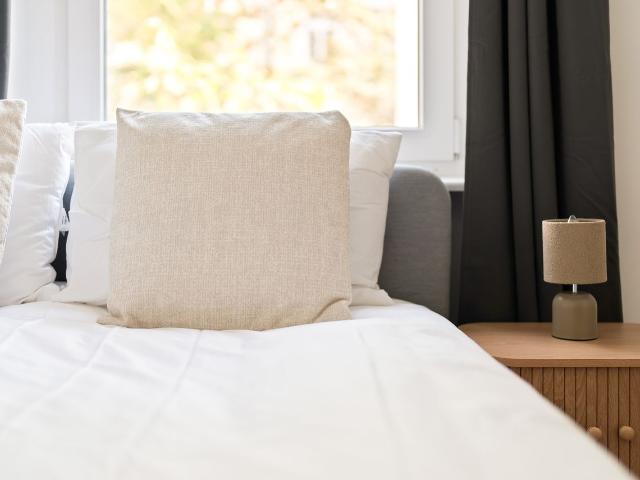 Delightful 1 Bedroom Apartment in Prenzlauer Berg, Berlin Amsterdam Apartments for Rent