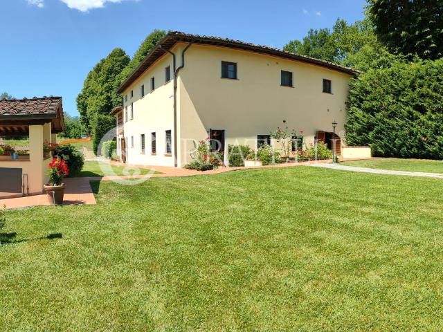 Delizioso e tipico casale toscano adibito a B&B con ampio pa. 560m² Camaiore