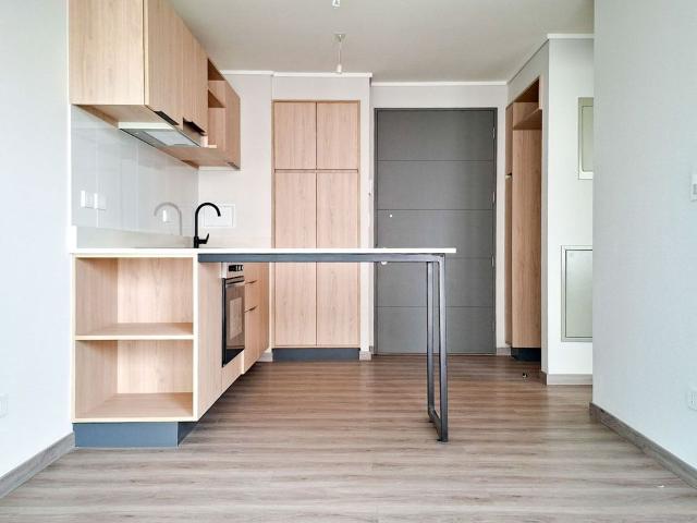 Depto 1 Dorm. Pionera Buzeta en Arriendo