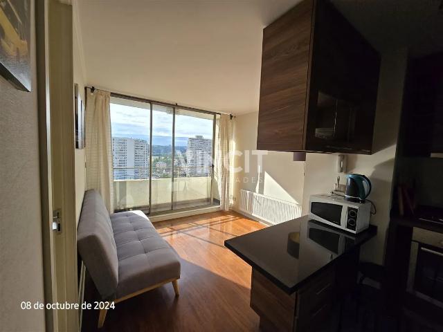 Depto en arriendo 1 dorm plan viña del mar amoblado