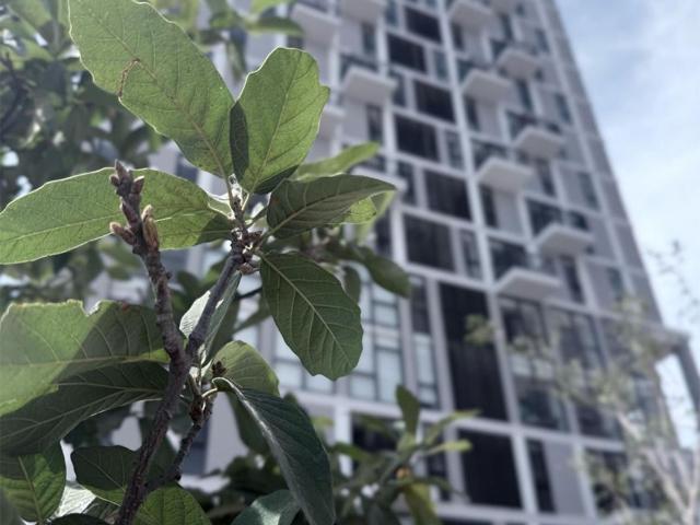 DEPTOS DESDE $2,700,000 LE?N AL NORTE. BALCONES DEL CAMPESTRE