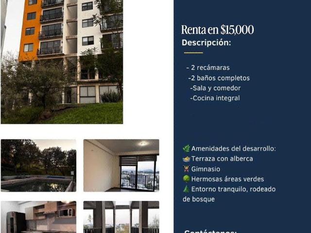 Dep capital norte