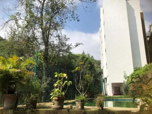 DEPA EN RENTA PET FRIENDLY CON ALBERCA | En Tzompantle, Cuernavaca | Semi Amueblado |