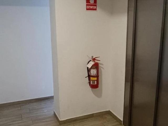 Depa luminoso en la perla