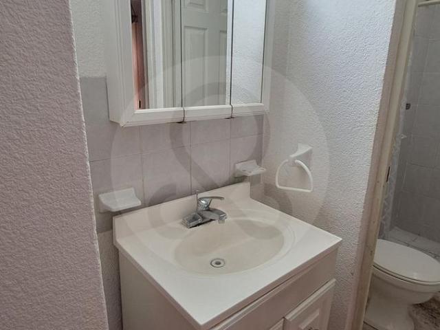 Depa Torres Dement, Toreo