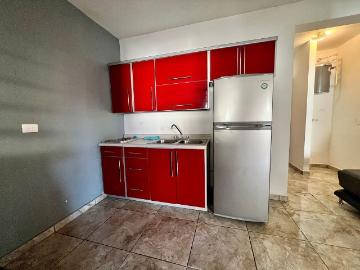 Depas tipo loft en renta en Centenario