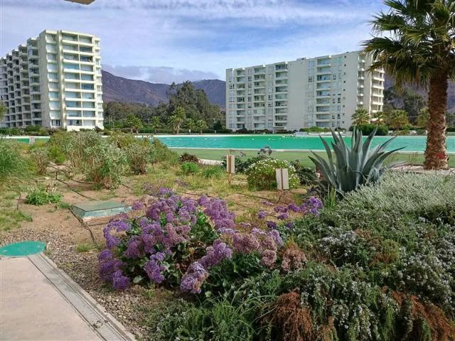 Departamento 3 dorm. 2 baños con salida directa a la playa | 3 dormitorios por 7300.00 en Papudo