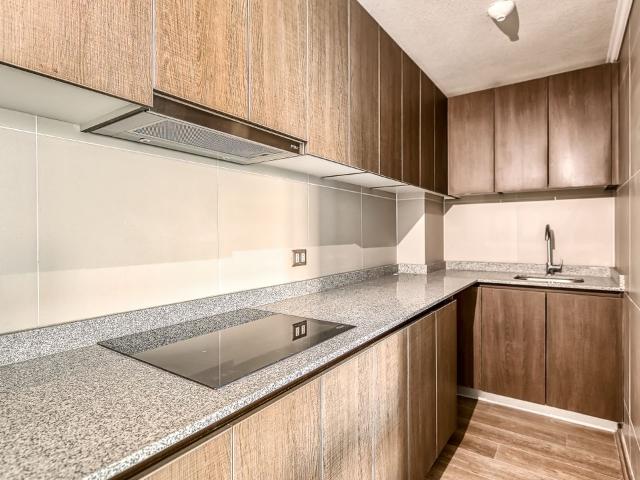 Departamento 1110 Bezanilla 1320, Independencia