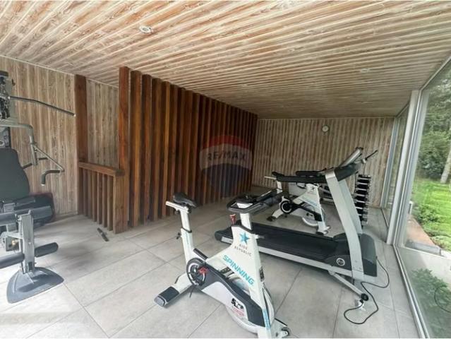 Departamento 1 dormitorio 1 baño payllahue pucon | 1 dormitorios por 2890.00 en Pucón