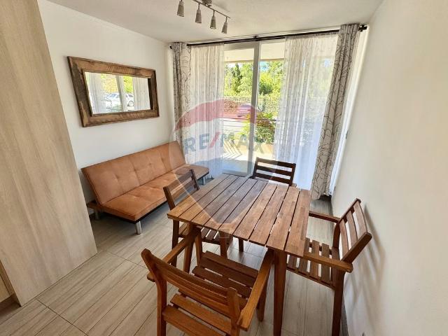 Departamento 1 dormitorio 1 baño payllahue pucon | 1 Dormitorios por 2890.00 en Pucón