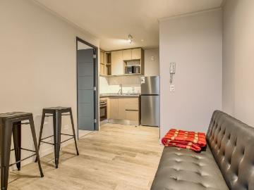 Departamento 604 A Rivas 581, San Joaquín
