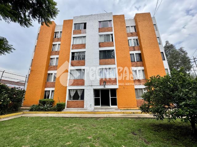 DEPARTAMENTO COL. AMPLIACION LA NORIA