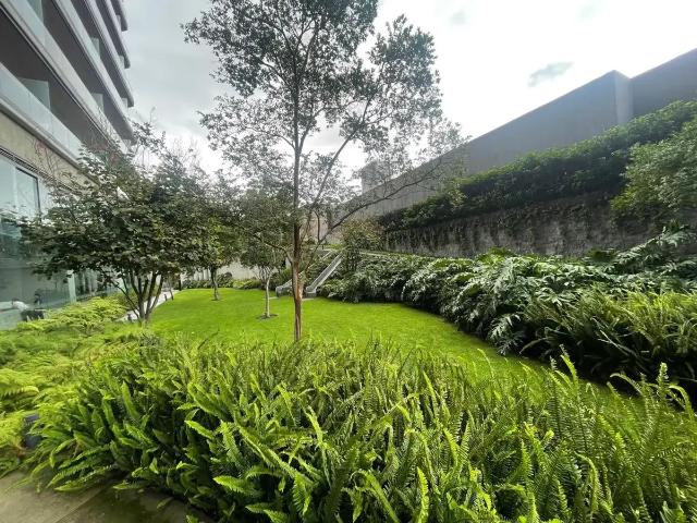 Departamento con Amenidades en Venta en Pedregal, Tlalpan