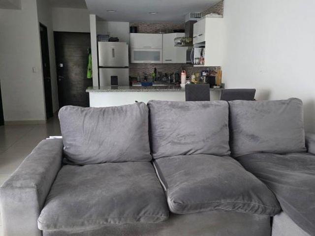 Departamento con inquilino en venta en Ventana Polanco