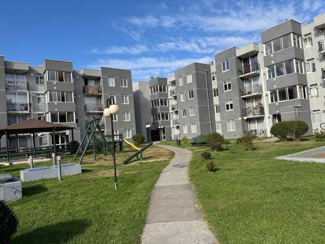 DEPARTAMENTO CAMPOS DEPORTIVOS BELLAVISTA CONCEPCION