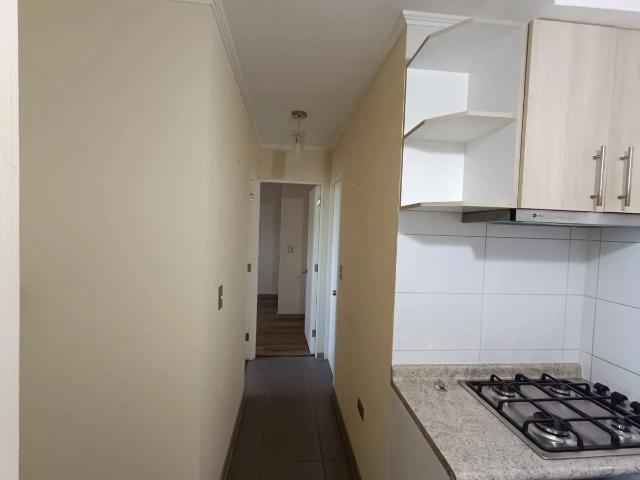 Departamento central camilo henriquez