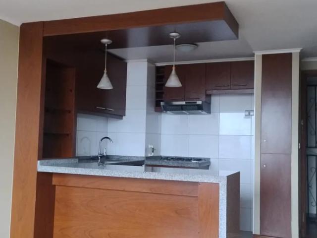 Departamento cercano udec concepción