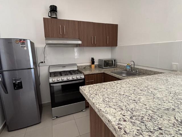 Departamento amueblado al norte en renta