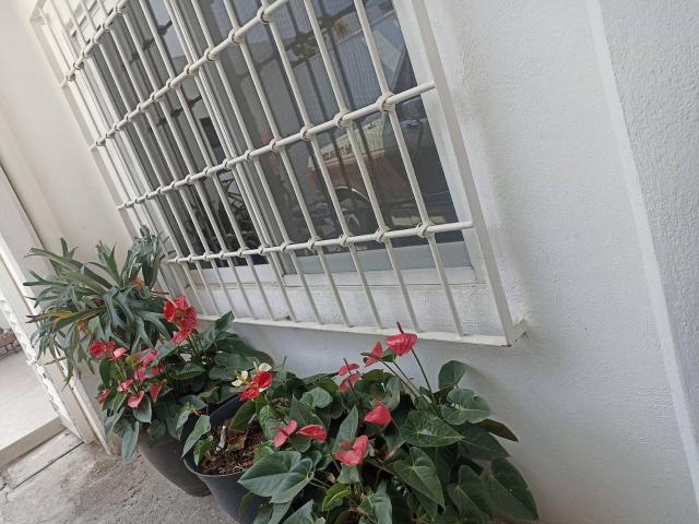 Departamento Amueblado Cuernavaca