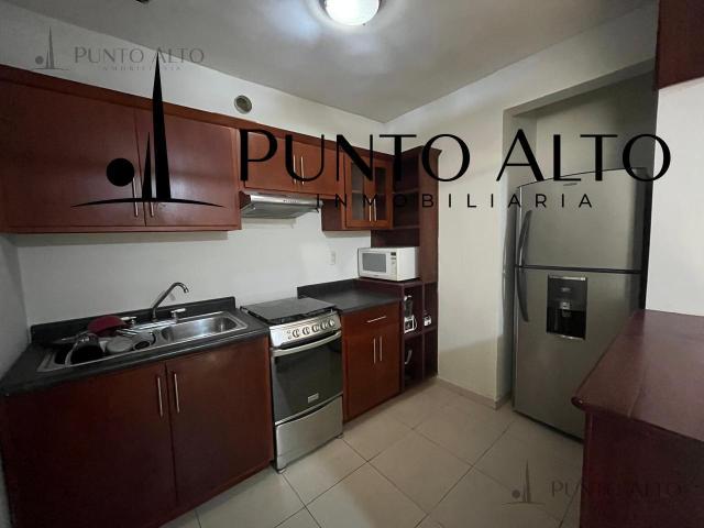 DEPARTAMENTO AMUEBLADO EN PLANTA BAJA EN RENTA COL. MONTE ALEGRE