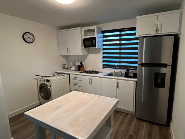 DEPARTAMENTO AMUEBLADO EN RENTA COL LATINO