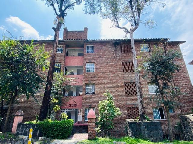 Departamento amueblado en renta de 101 m2 con cuarto de servicio en Residencial Bosque de Leones